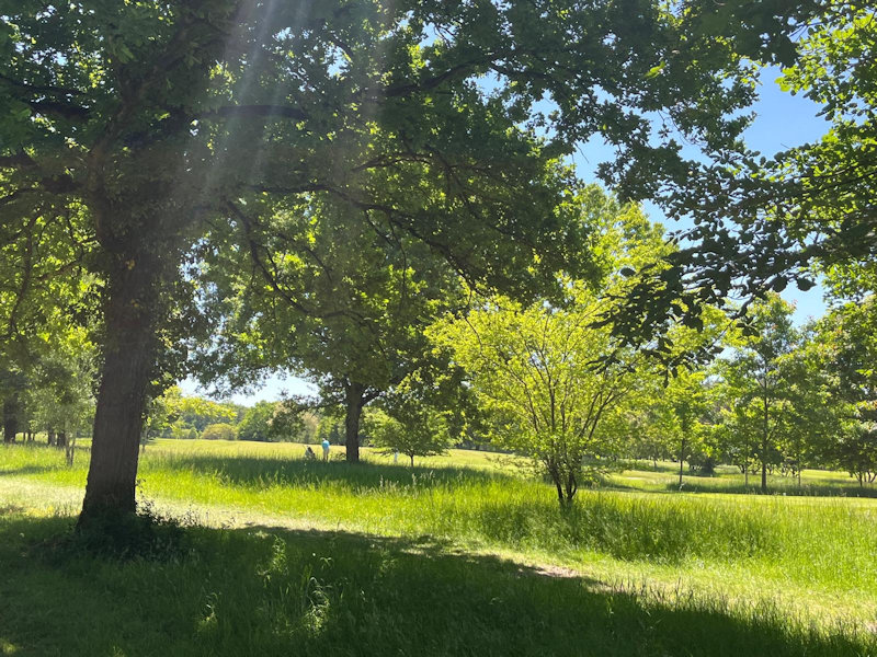 Sortie golfique mensuelle de l’association